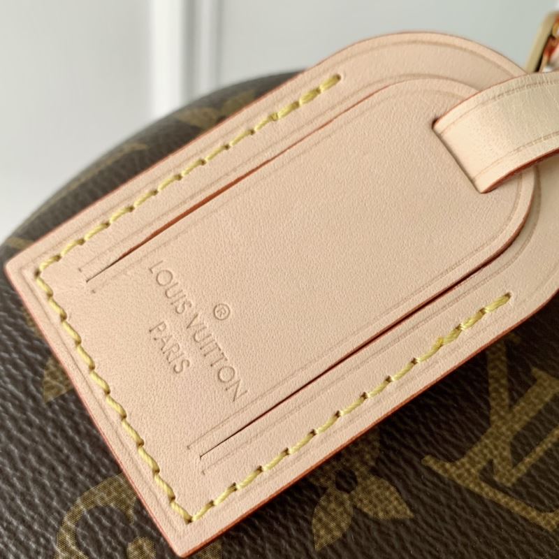 LV Speedy Bags